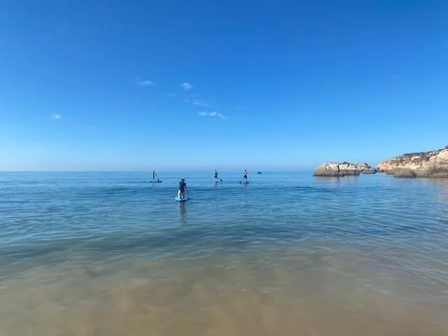 Francisco Vau 公寓 波尔蒂芒